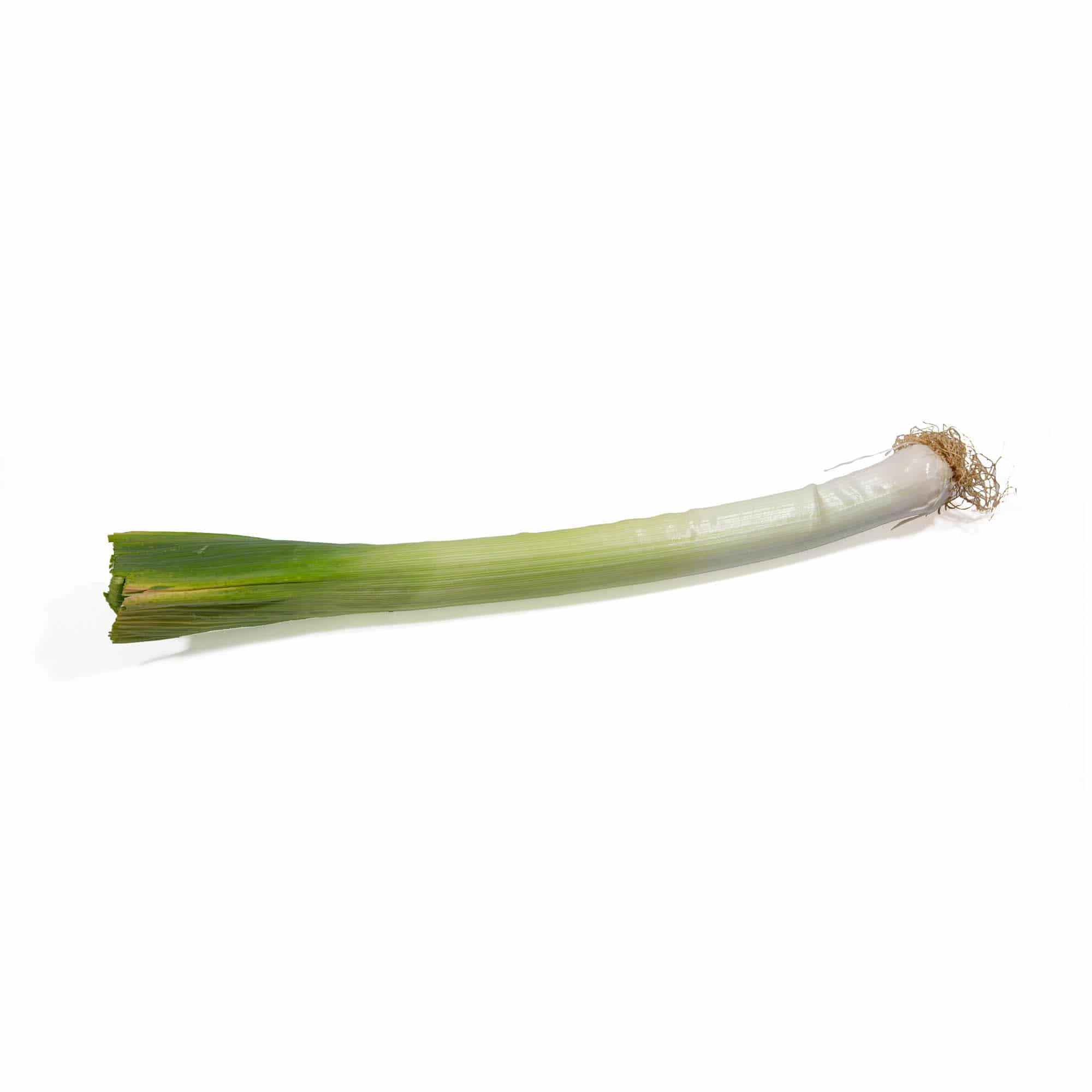 Porro del Baix LlobregatB